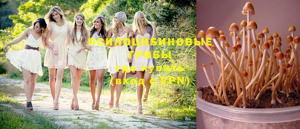 мдпв Михайлов