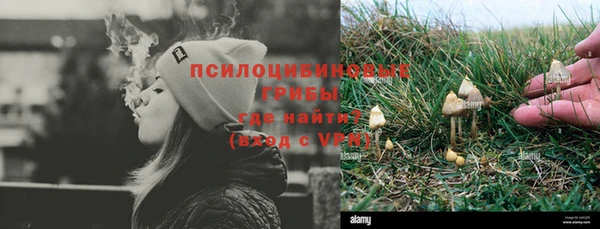 мдпв Михайлов