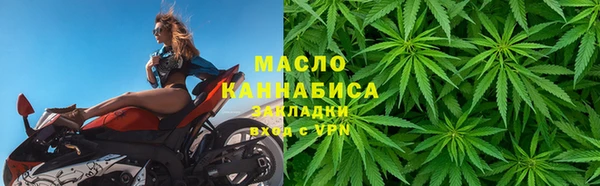мдпв Михайлов