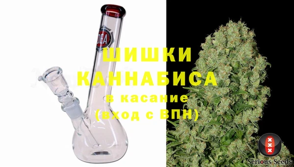 мдпв Михайлов